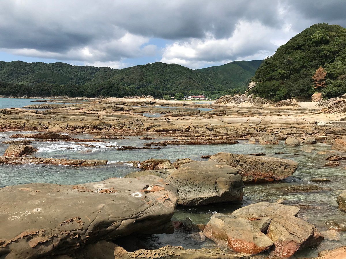 🐠 천연 뮤지엄・아시즈리 해저관(덴넨 뮤지아무・아시즈리 카이테이칸) 이미지 5